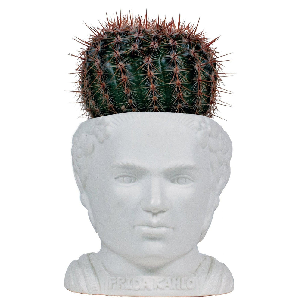 frida kahlo cactus Frida Kahlo Bust Planter