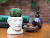 Product photo of Sigmund Freud Bust Planter, a novelty gift manufactured by The Unemployed Philosophers Guild.