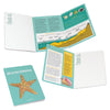 Beachcombing notebook composite image cover, inside front, and inside back