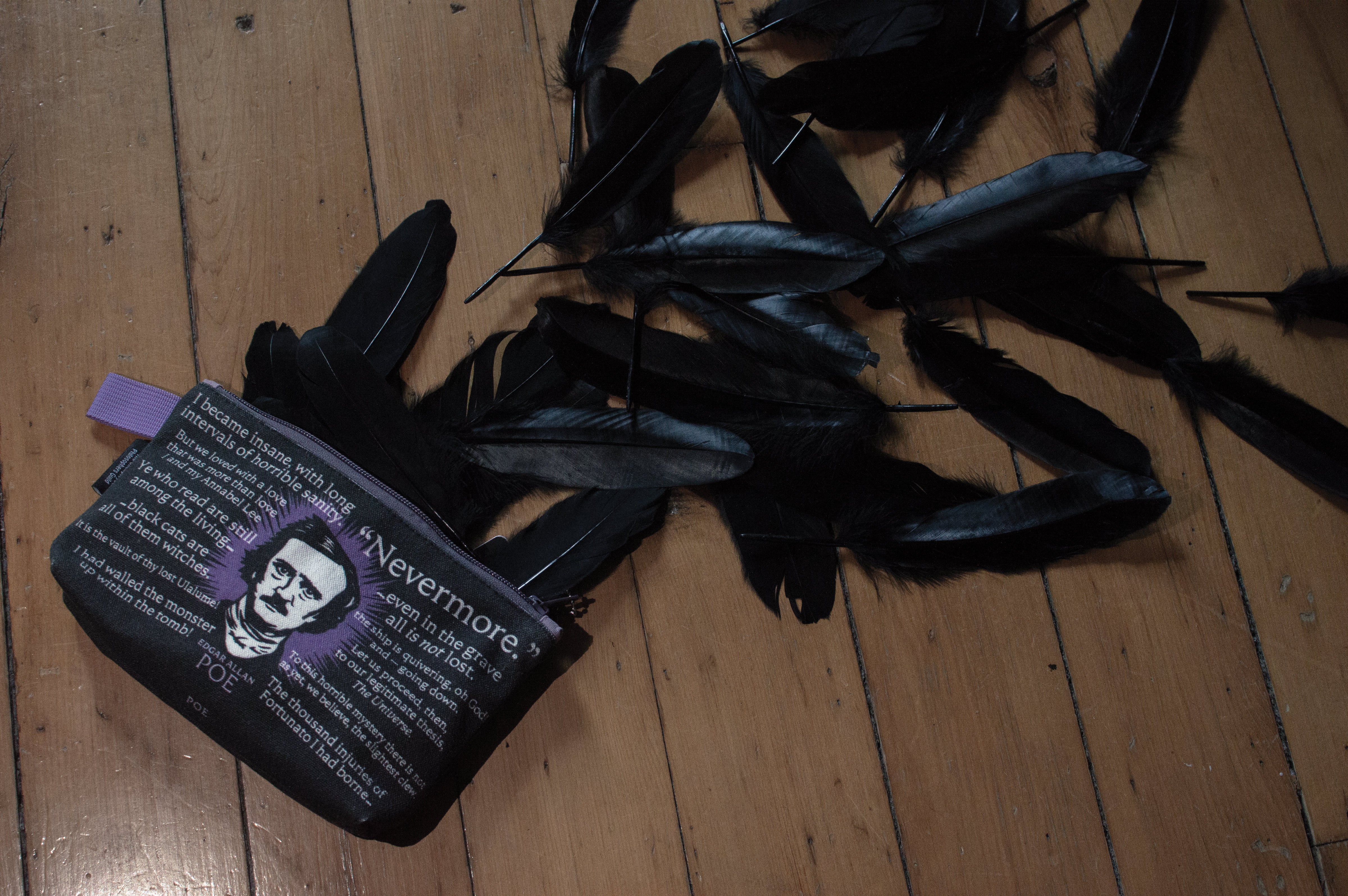 edgar allan poe mini backpack Edgar Allan Poe Bag