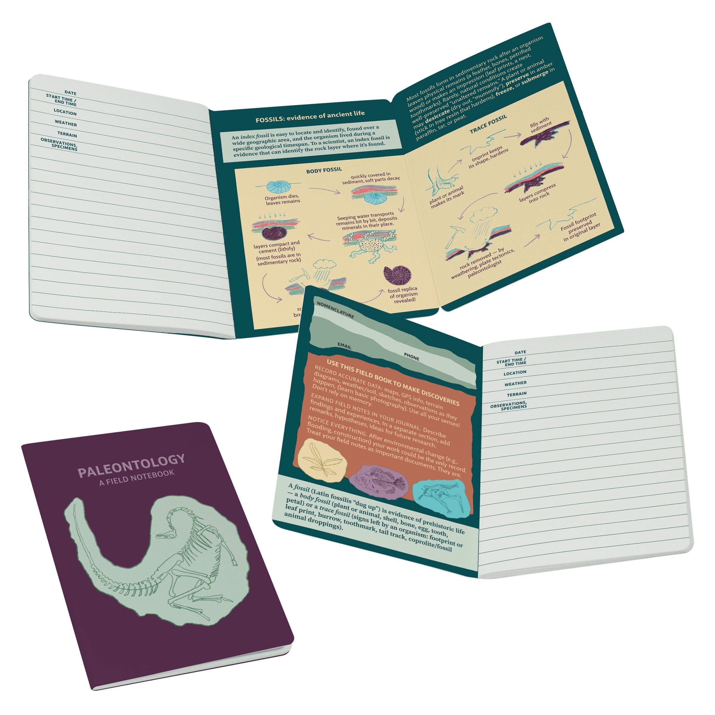 Product photo of Paleontology Notebook, a novelty gift manufactured by The Unemployed Philosophers Guild.