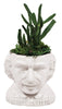 Product photo of Albert Einstein Bust Planter, a novelty gift manufactured by The Unemployed Philosophers Guild.
