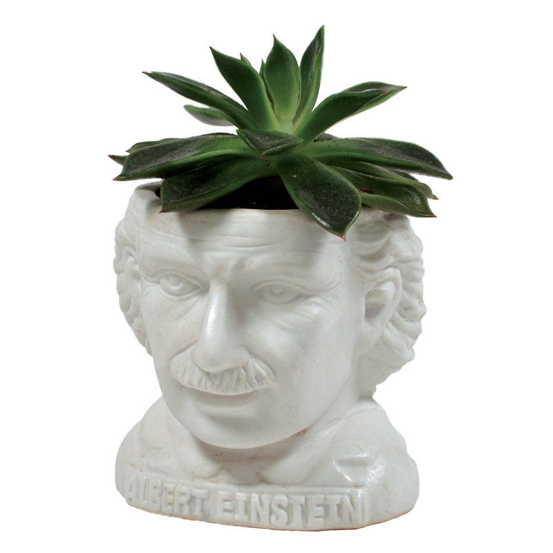 albert-einstein-bust-planter-
