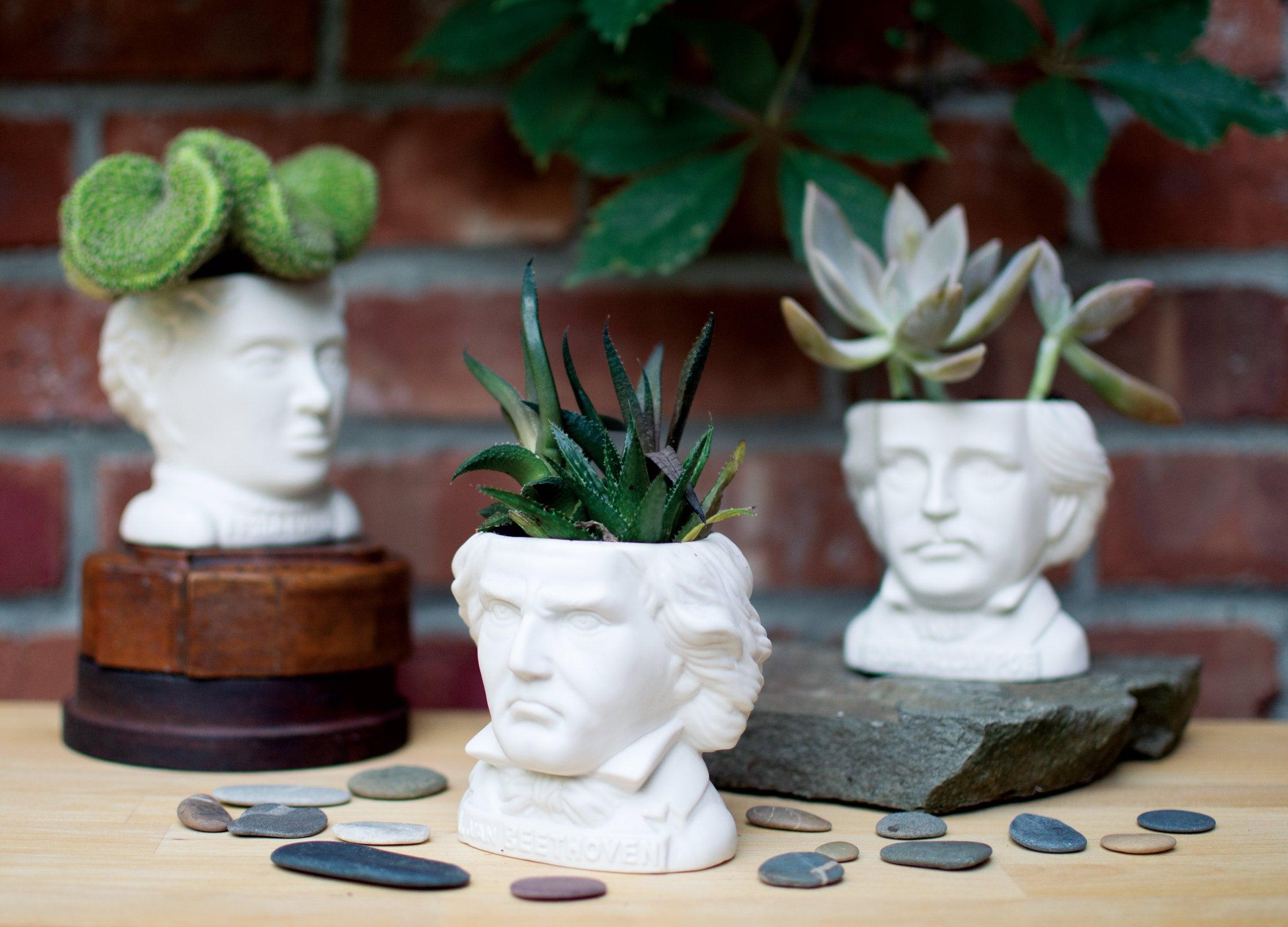 bust plant pots Beethoven Bust Planter