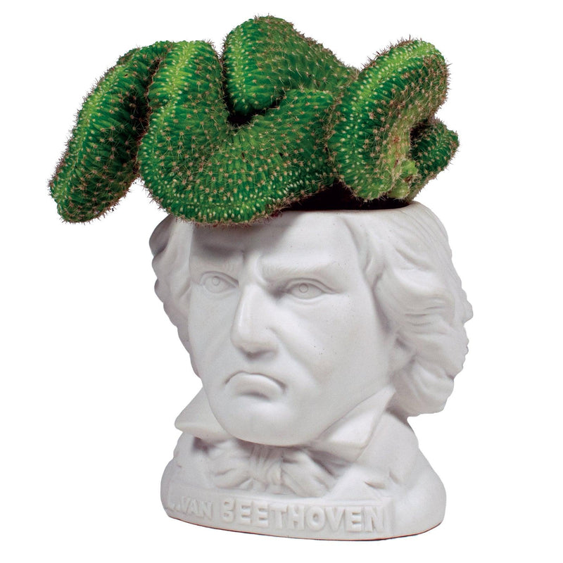 ベートーヴェン bust 陶器像 約20cm beethoven-bust-planter_800x.