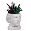 Product photo of Edgar Allan Poe Bust Planter, a novelty gift manufactured by The Unemployed Philosophers Guild.