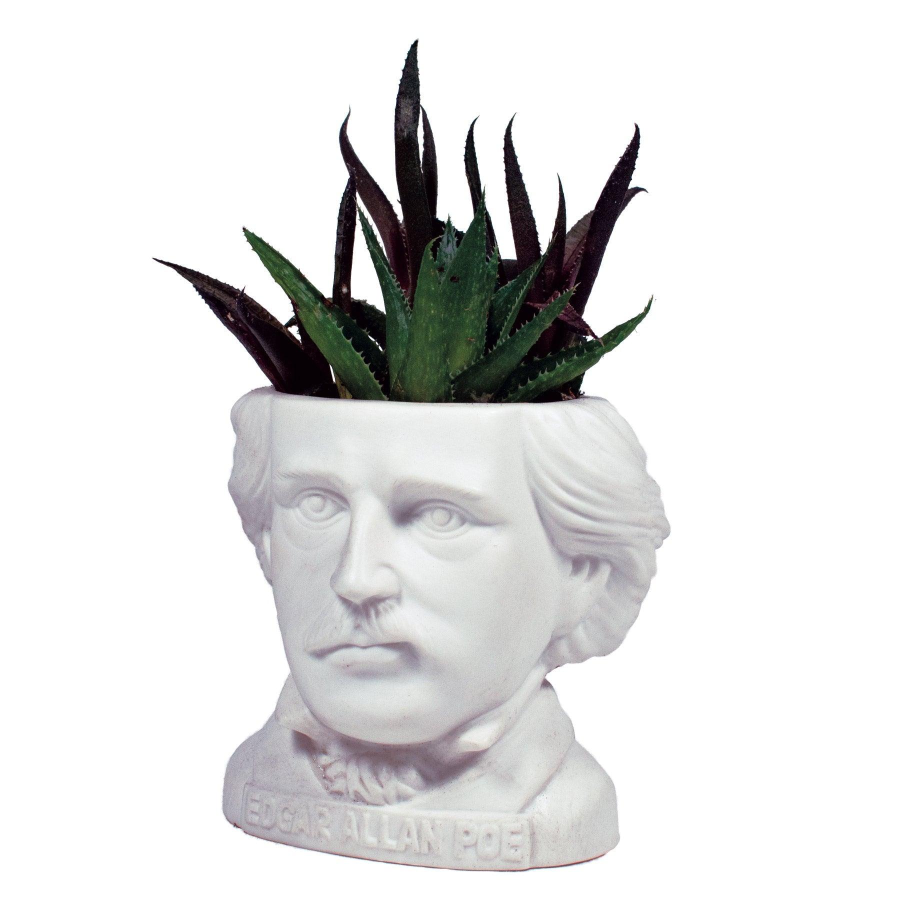 Product photo of Edgar Allan Poe Bust Planter, a novelty gift manufactured by The Unemployed Philosophers Guild.