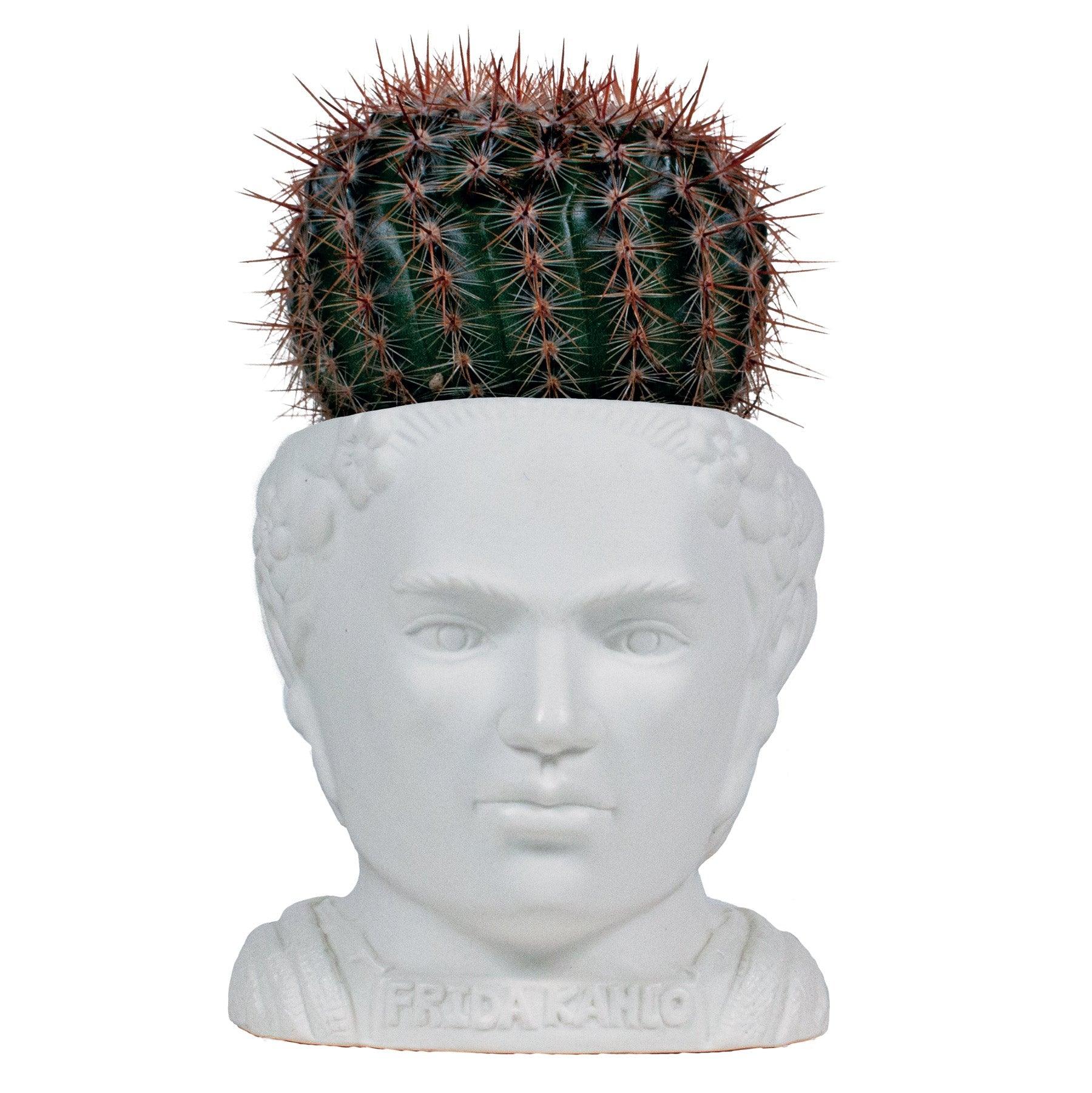 Product photo of Frida Kahlo Bust Planter, a novelty gift manufactured by The Unemployed Philosophers Guild.