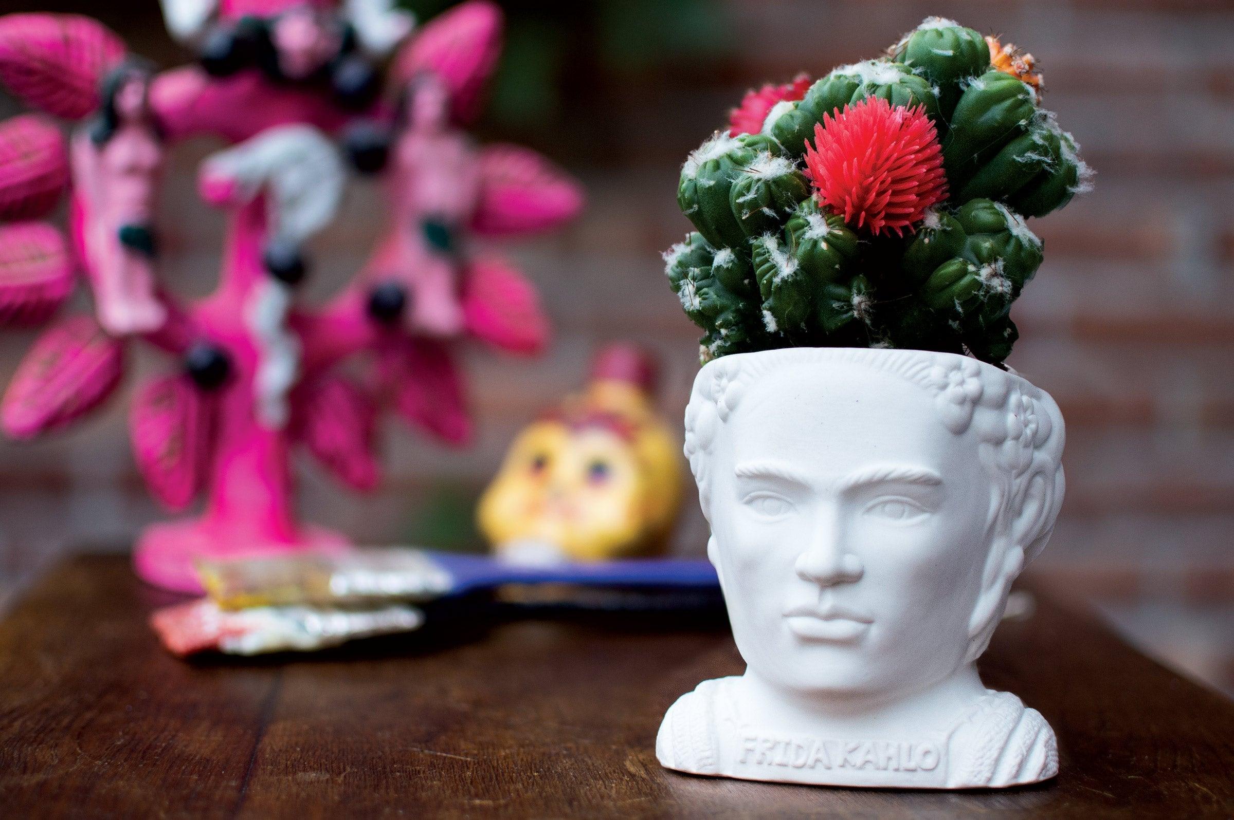 frida plant pot Frida Kahlo Planter