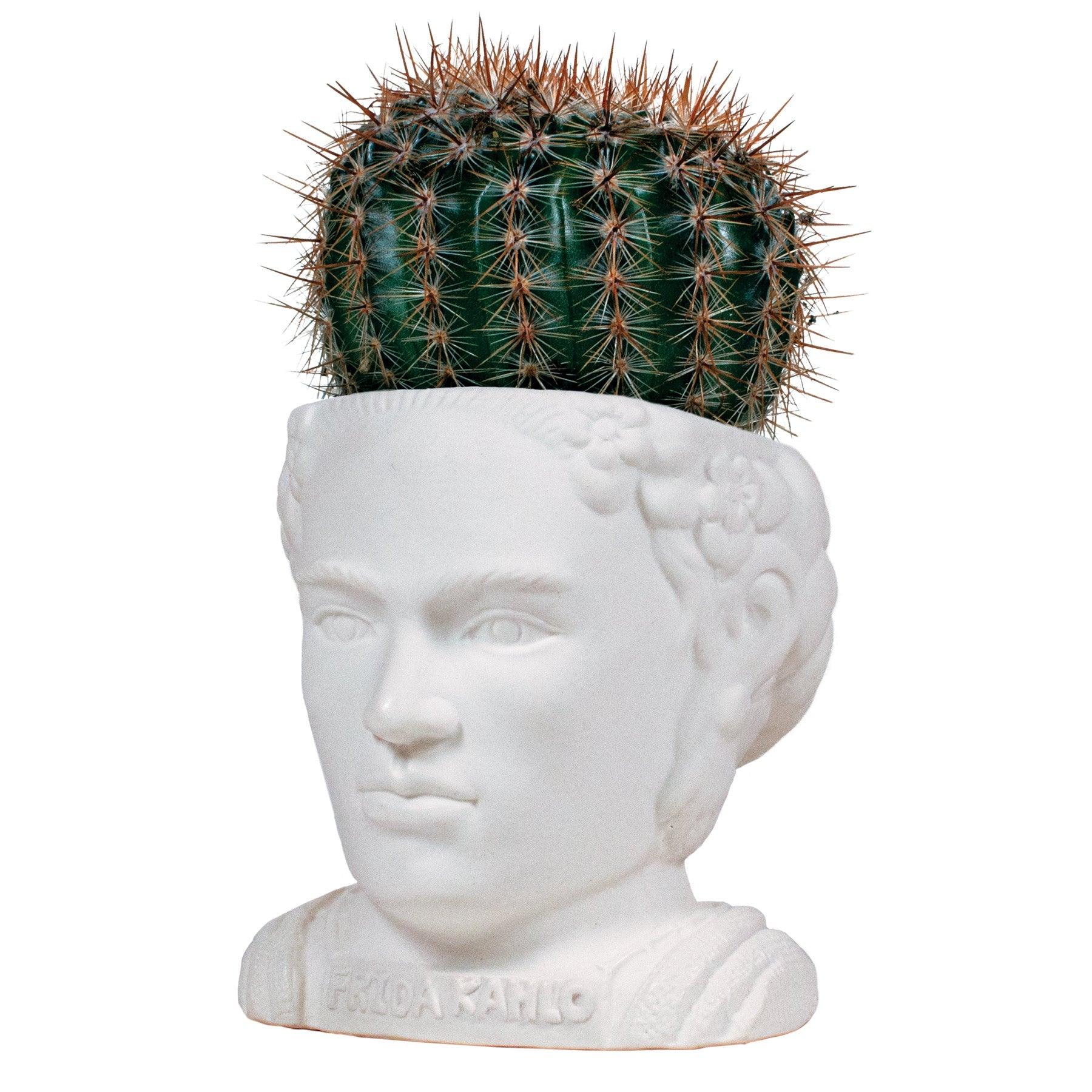 Product photo of Frida Kahlo Bust Planter, a novelty gift manufactured by The Unemployed Philosophers Guild.