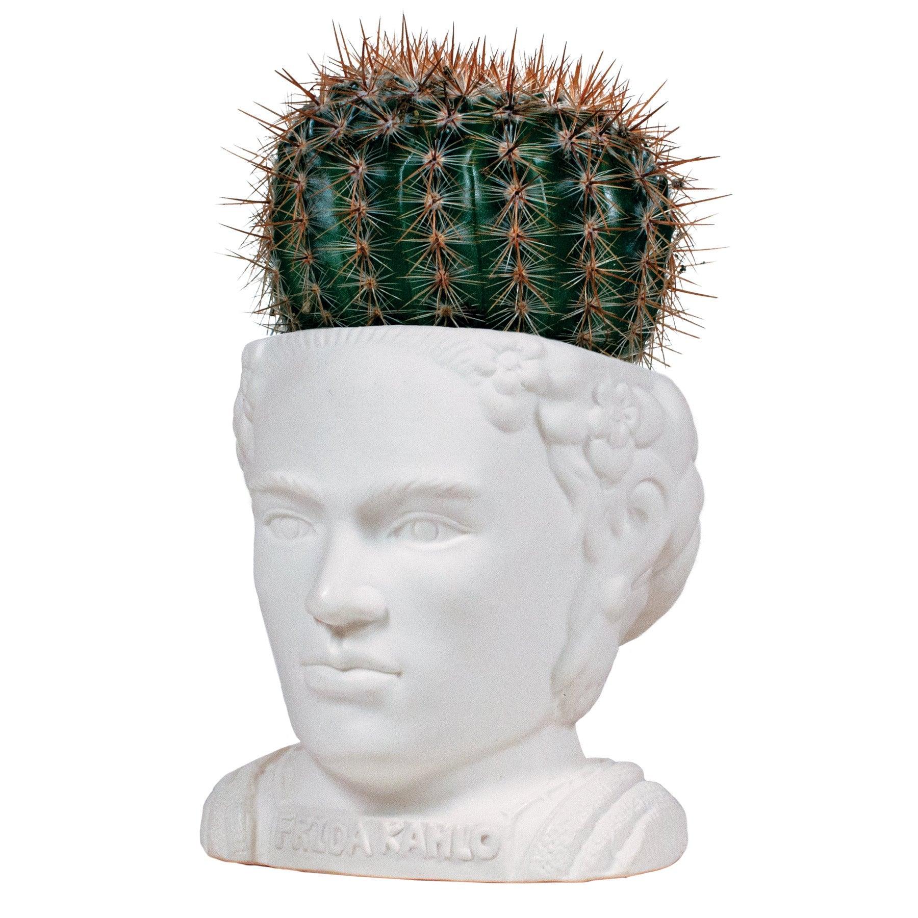 frida plant pot Frida Kahlo Bust Planter