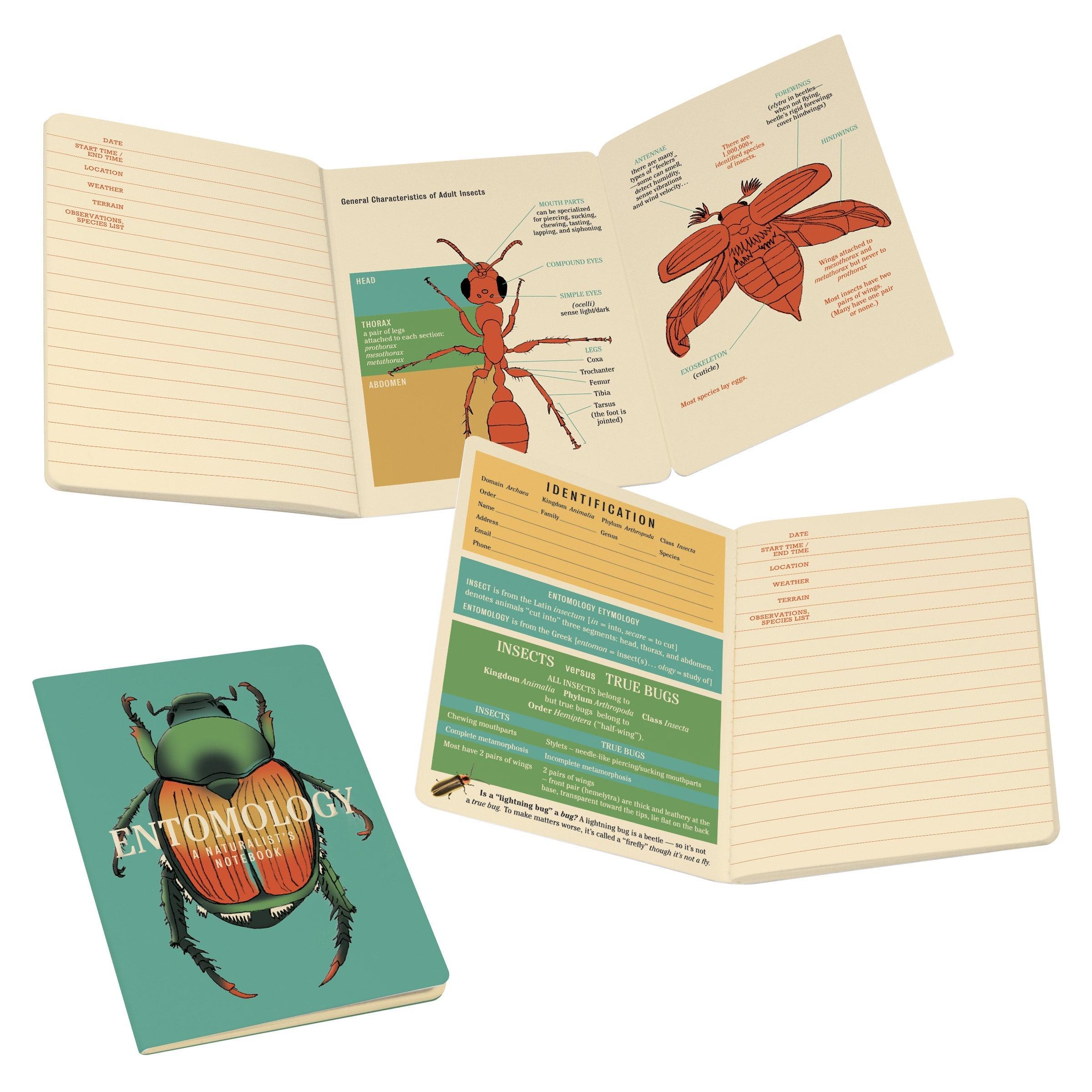 Insect (Entomology) Notebook | Smart and Funny Gifts by UPG – The ...