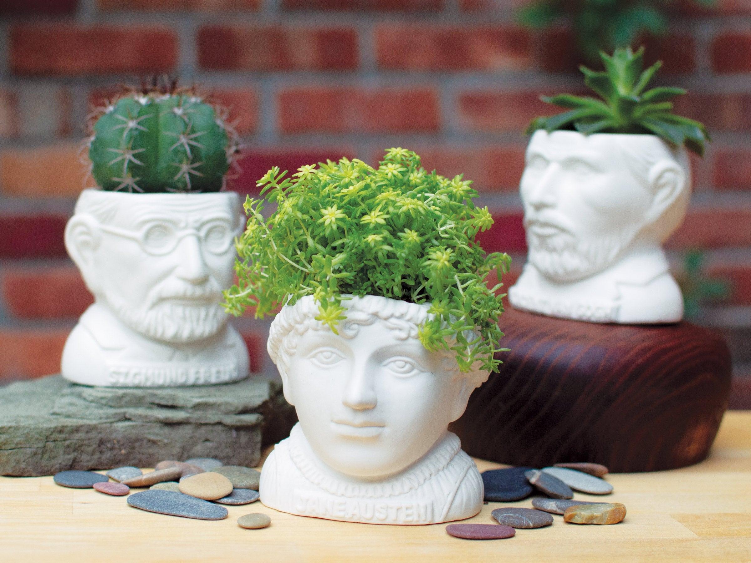 feminist plant pot Jane Austen Planter