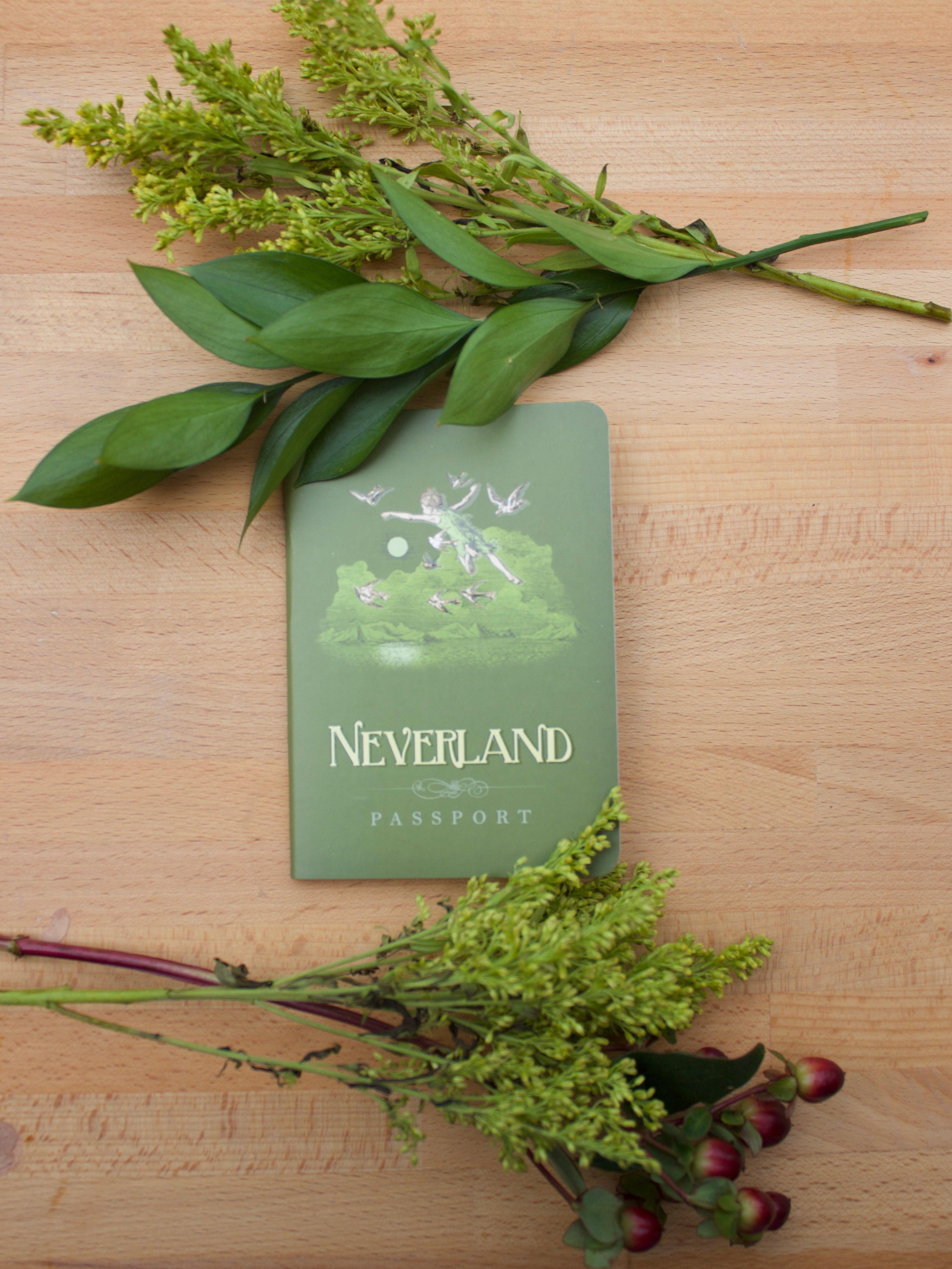 Product photo of Passport to Neverland Notebook, a novelty gift manufactured by The Unemployed Philosophers Guild.