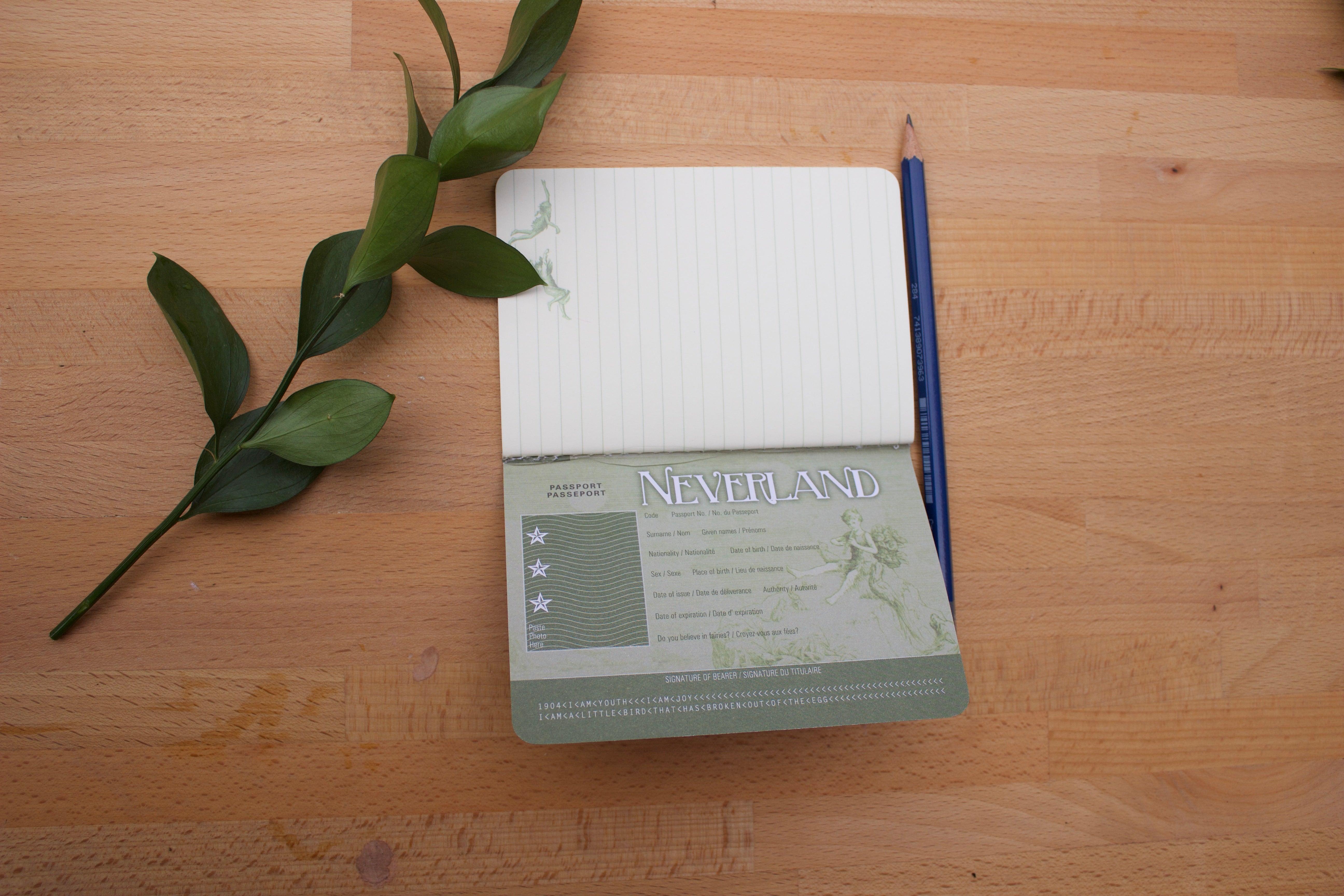 Neverland Notebook