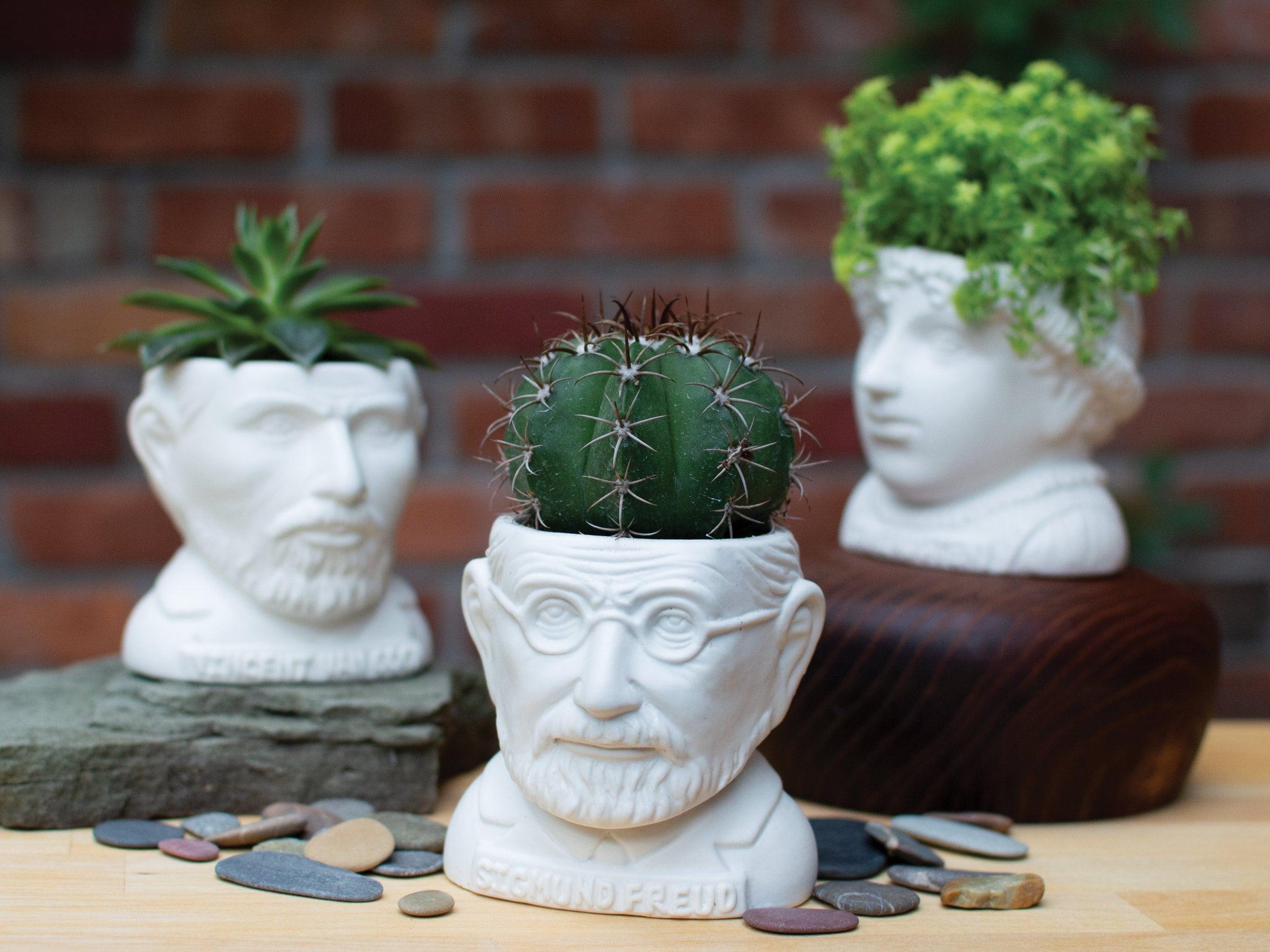 Product photo of Sigmund Freud Bust Planter, a novelty gift manufactured by The Unemployed Philosophers Guild.