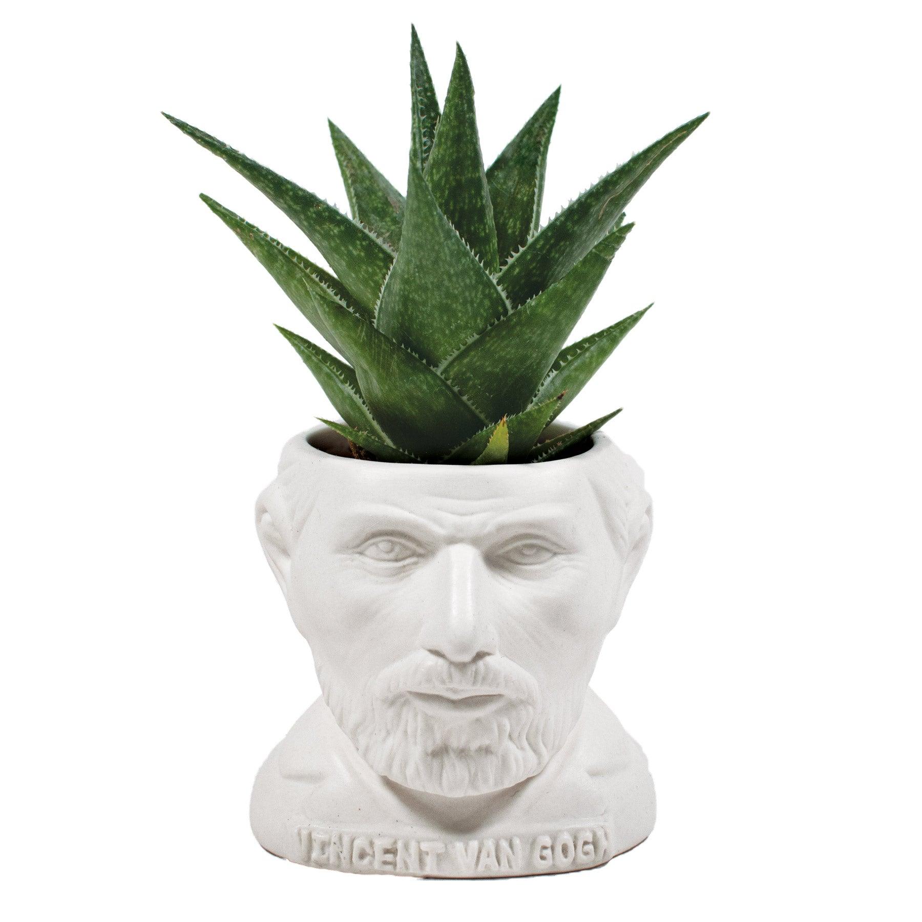 bust plant pots Vincent Van Gogh Bust Planter