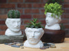 Product photo of Vincent Van Gogh Bust Planter, a novelty gift manufactured by The Unemployed Philosophers Guild.